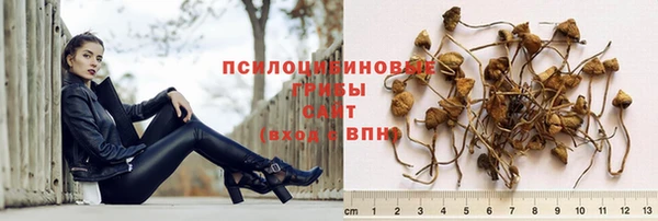 mdma Корсаков
