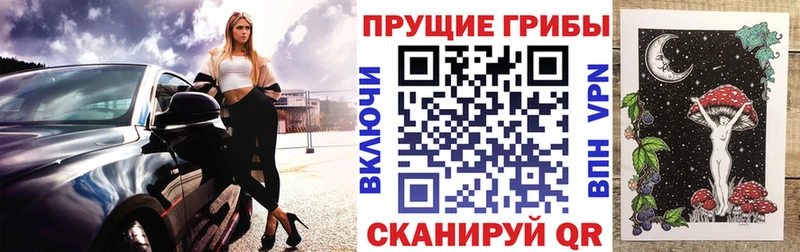 Купить где Геленджик Галлюциногенные грибы ЛСД